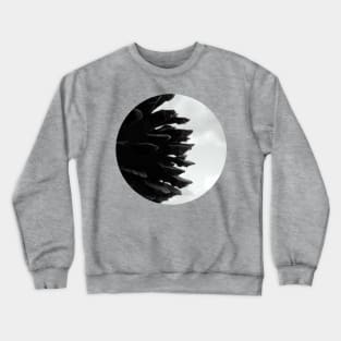 Pine Cones Crewneck Sweatshirt